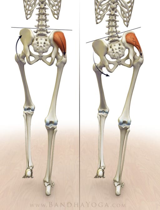 ACUPUNCTURE FOR HIP PAIN: A Sports Medicine Acupuncture® Approach | SportsMedicineAcupuncture.com