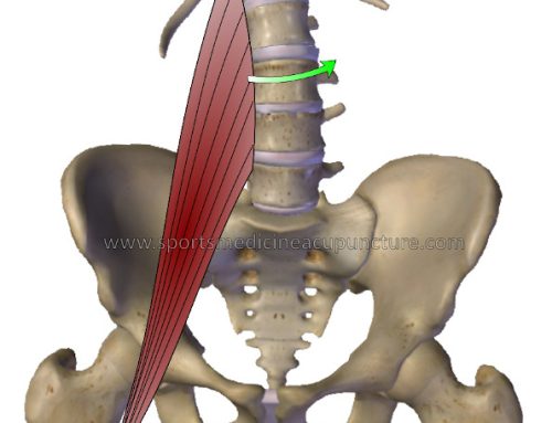 Working with the Psoas