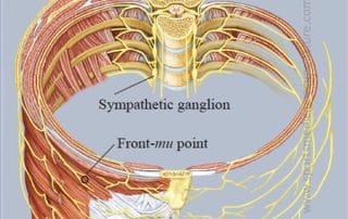 Get More Out of Your Zang Fu Treatments: Emphasis on the Middle Jiao | SPORTSMEDICINEACUPUNCTURE.COM