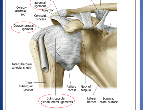 Adhesive Capsulitis (Frozen Shoulder): Stage One