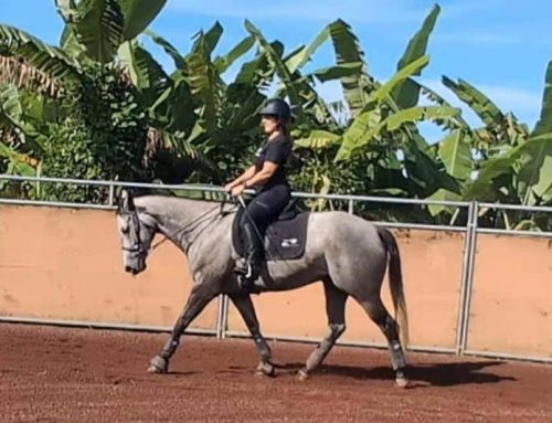 “I Am Back!” A Remarkable Injury Recovery Story