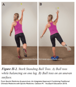 Chronic Ankle Instability and Sports Medicine Acupuncture® | SPORTSMEDICINEACUPUNCTURE.COM